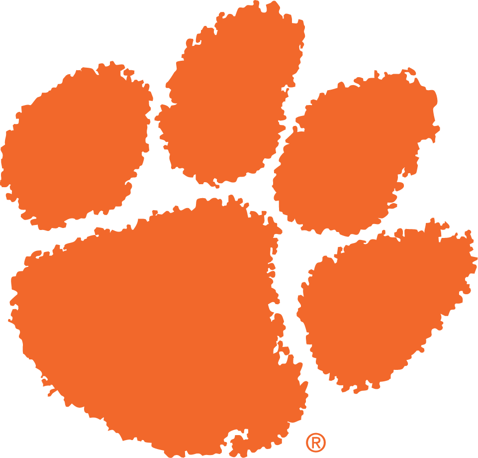 Clemson Tigers 1977-Pres Primary Logo diy iron on heat transfer
